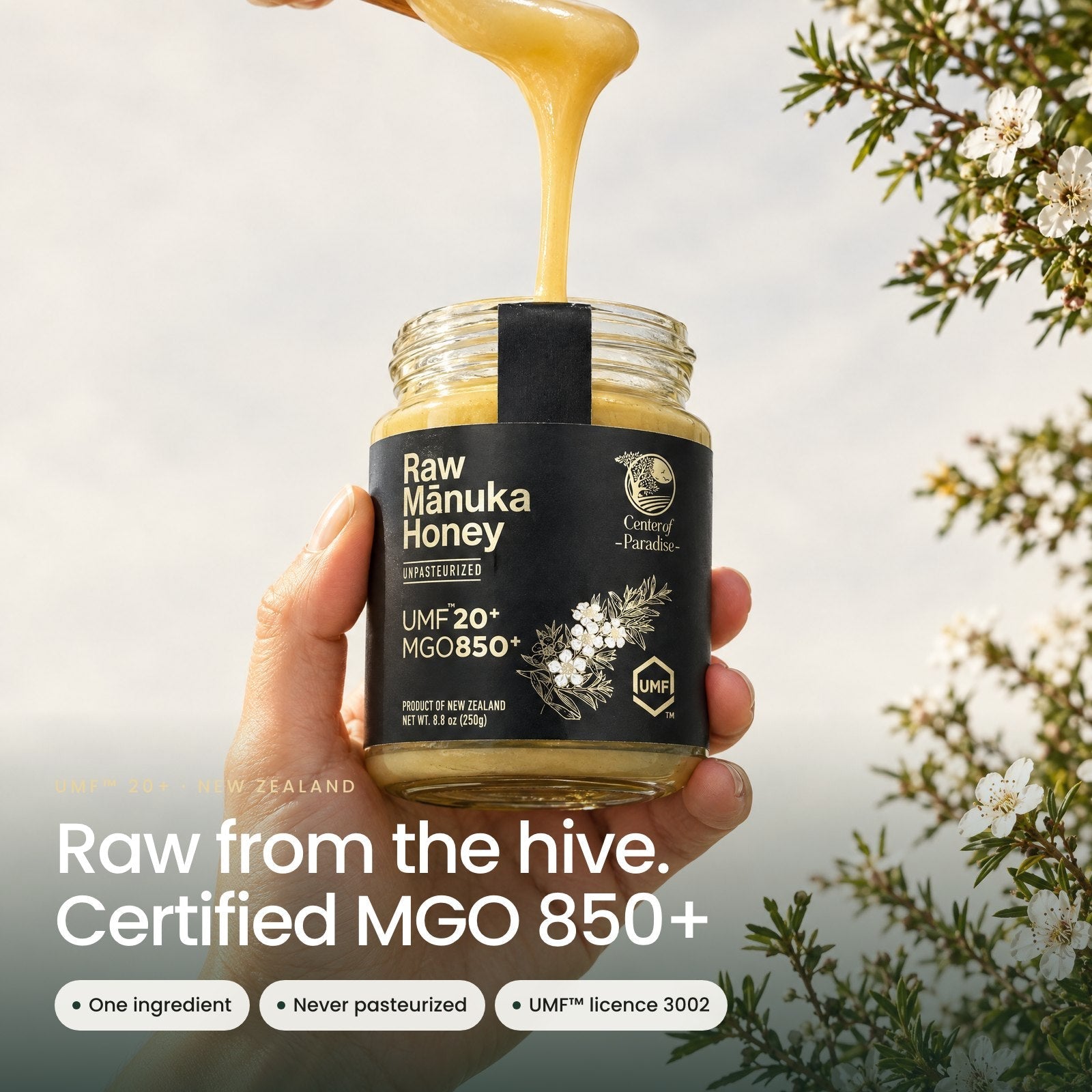 Raw Mānuka Honey UMF 20+