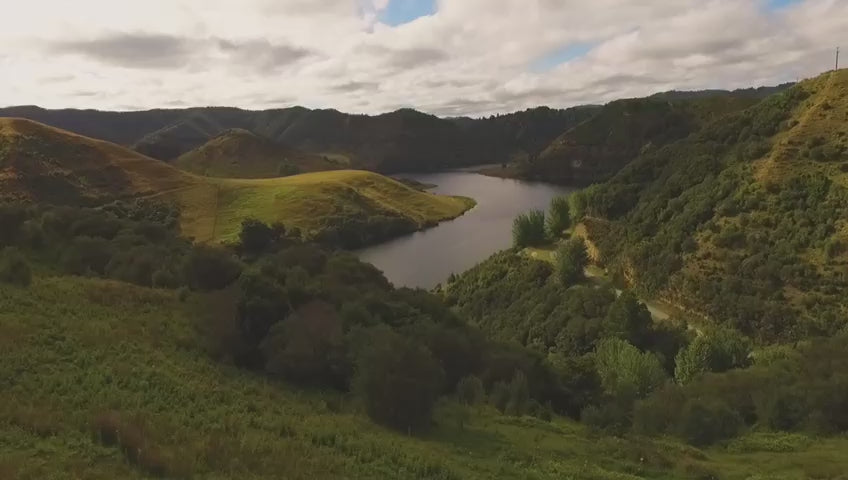 Raw Manuka Honey UMF 15+ MGO 515+