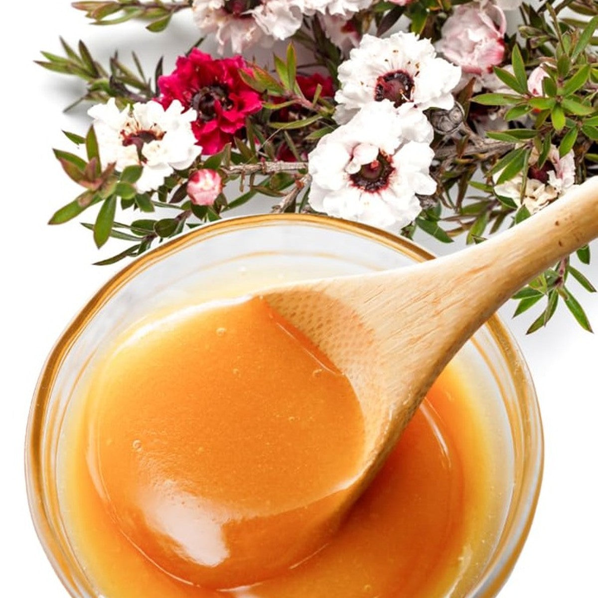 Spoonful of raw manuka honey