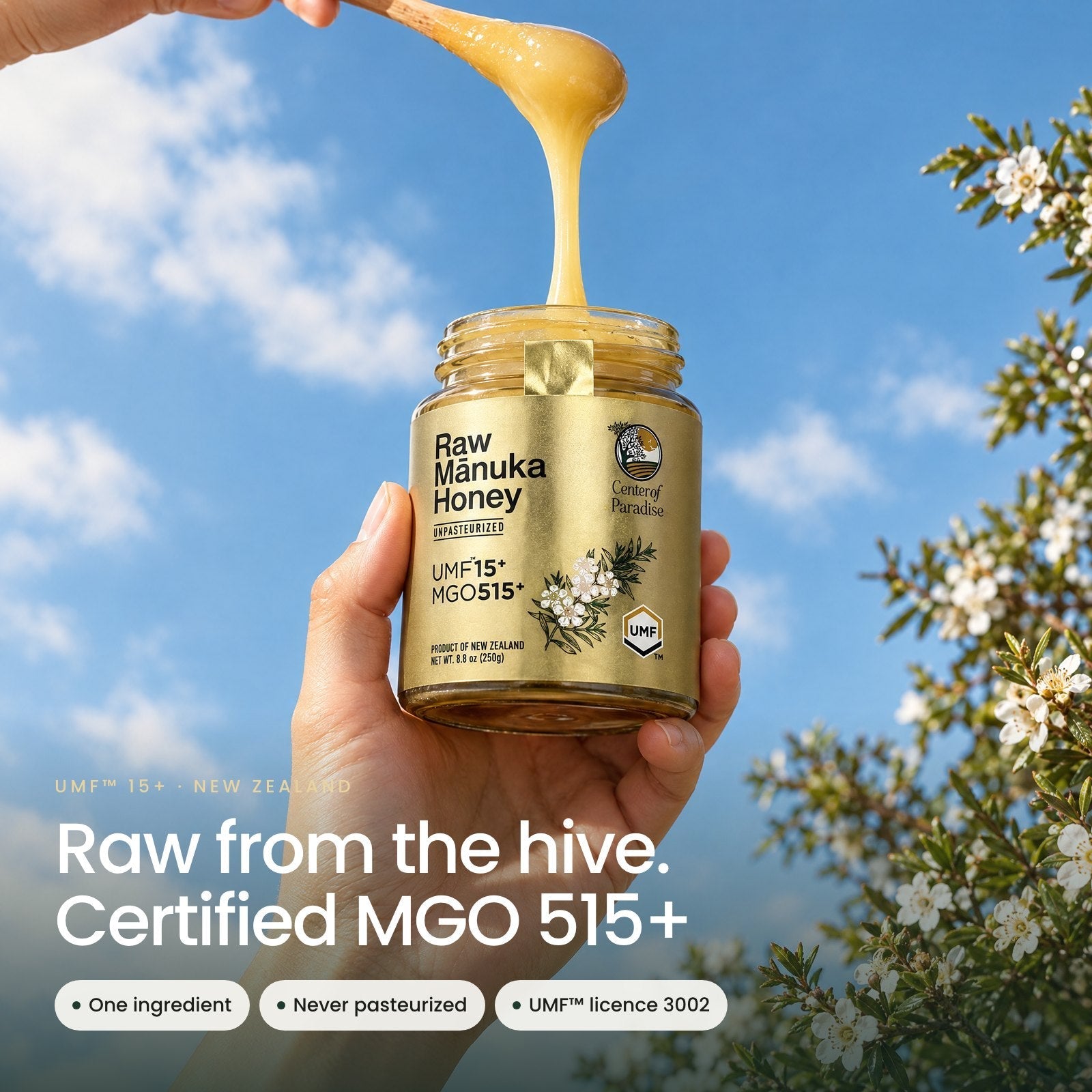 Raw Mānuka Honey UMF 15+